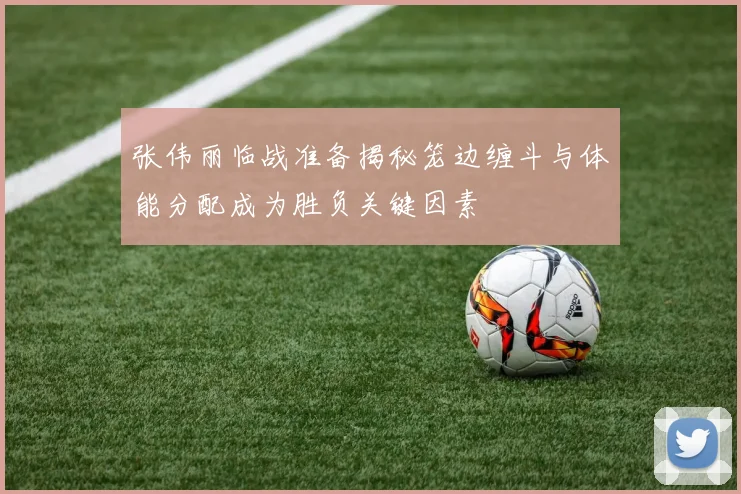 张伟丽临战准备揭秘笼边缠斗与体能分配成为胜负关键因素