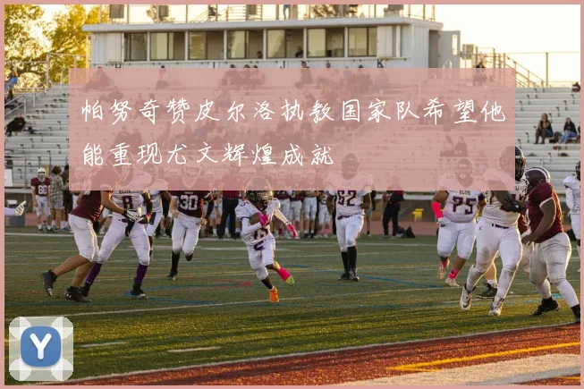 帕努奇赞皮尔洛执教国家队希望他能重现尤文辉煌成就